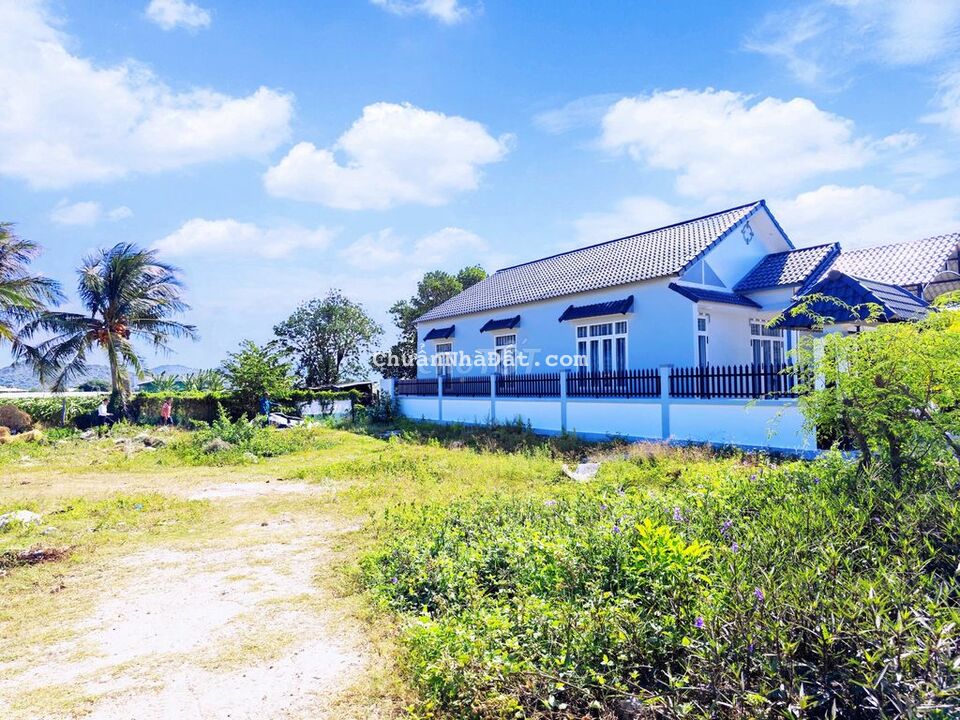 Cần ra đất lô đất tâm huyết, đường lớn 29m để giải quyết việc gia đình Cần ra đất lô đất tâm huyết, đường lớn 29m để giải quyết việc gia đình