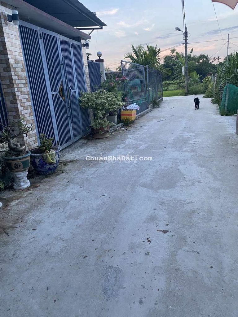 Chủ cần bán gấp lô đất thôn An trạch - hoà tiến