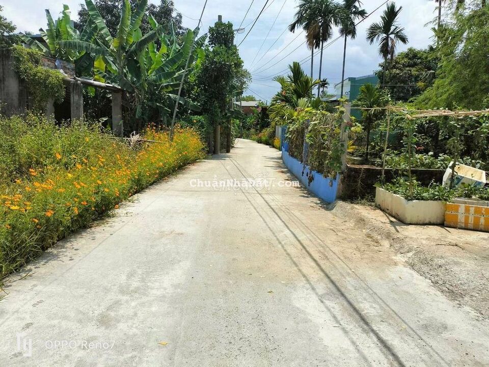 Chủ cần bán gấp lô đất thôn An trạch - hoà tiến