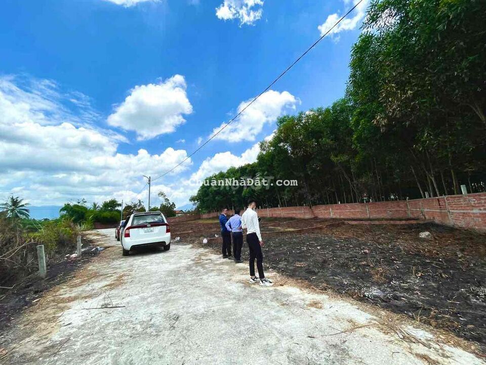 Bán đất Hoà vang ngay QL14B ngang 6 view cánh đồng chỉ 6xx Bán đất Hoà vang ngay QL14B ngang 6 view cánh đồng chỉ 6xx