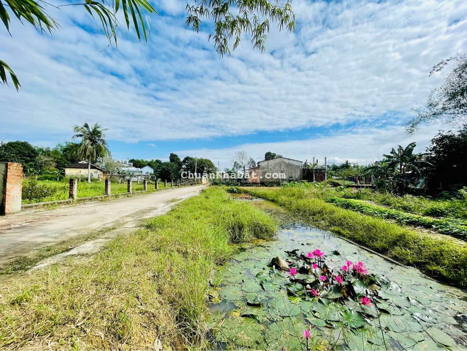 ĐẤT HOÀ PHONG GẦN CHỢ TUÝ LOAN ĐƯỜNG BETONG 6m, LÔ 7x22 GIÁ 929tr ĐẤT HOÀ PHONG GẦN CHỢ TUÝ LOAN ĐƯỜNG BETONG 6m, LÔ 7x22 GIÁ 929tr