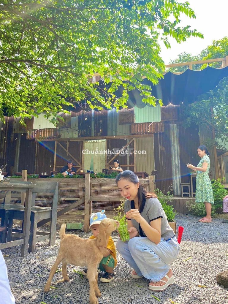 Mình cần bán farm hoà ninh.ac có nhu cầu lh