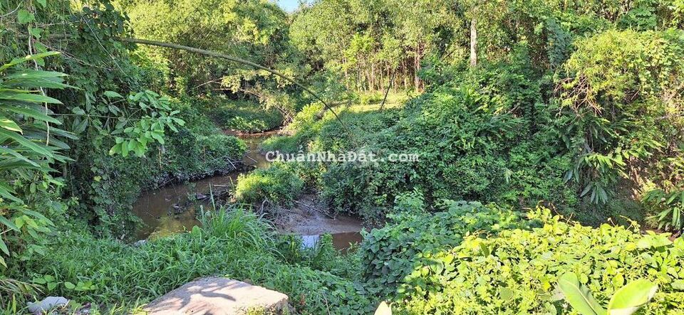 260m2 đất viết tay view suối phía sau gần nhà dân ở đông