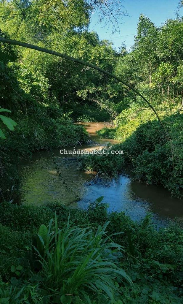 260m2 đất viết tay view suối sát nhà dân ở đông đúc 260m2 đất viết tay view suối sát nhà dân ở đông đúc
