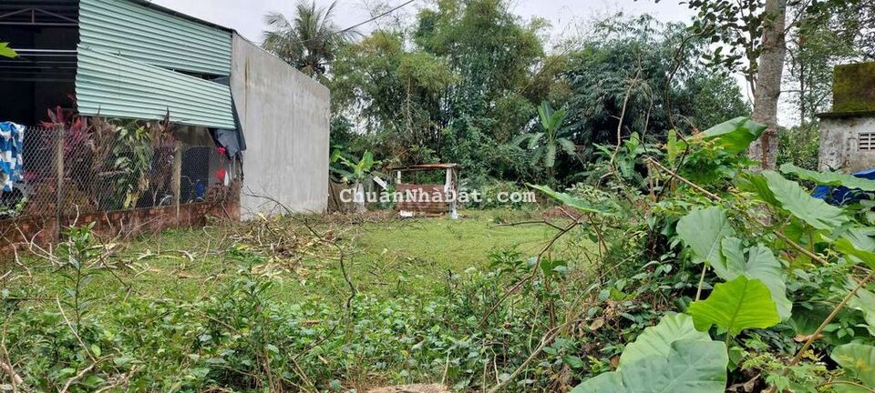 Đất gần chợ hòa phú 382m2 có 150m2 đất ở