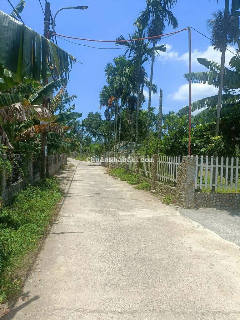 5000m2 có 300m2 đất ở view suối có hồ trên đất