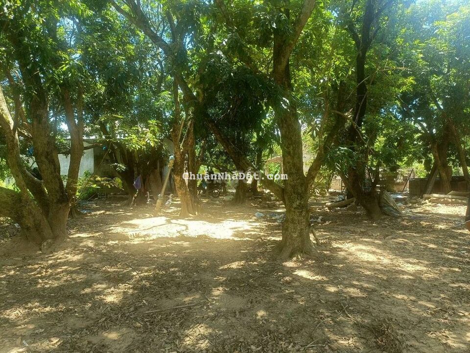 5000m2 có 300m2 đất ở view suối có hồ trên đất