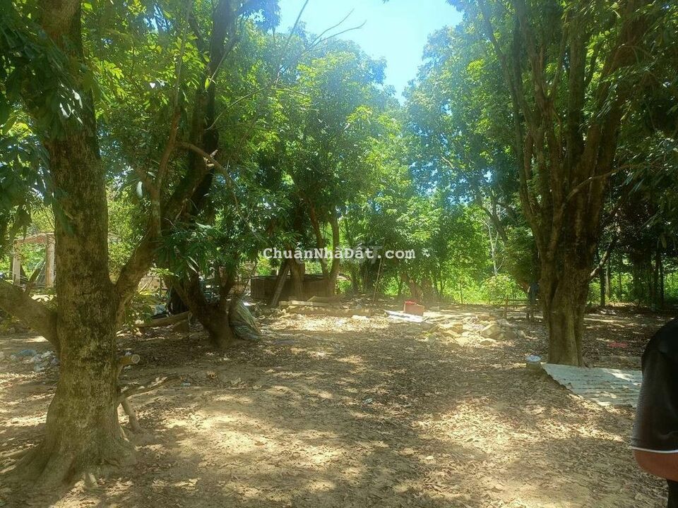 5000m2 có 300m2 đất ở view suối có hồ trên đất