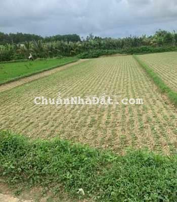 650m2 đất trồng cây hằng năm xã hòa nhơn gần nhà dân ở ngang 14m.