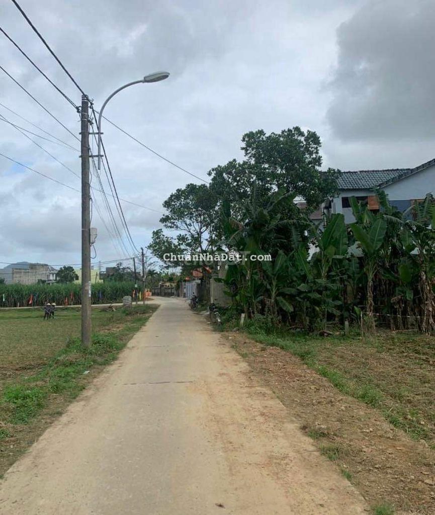 650m2 đất trồng cây hằng năm gần dân ở xã hòa nhơn