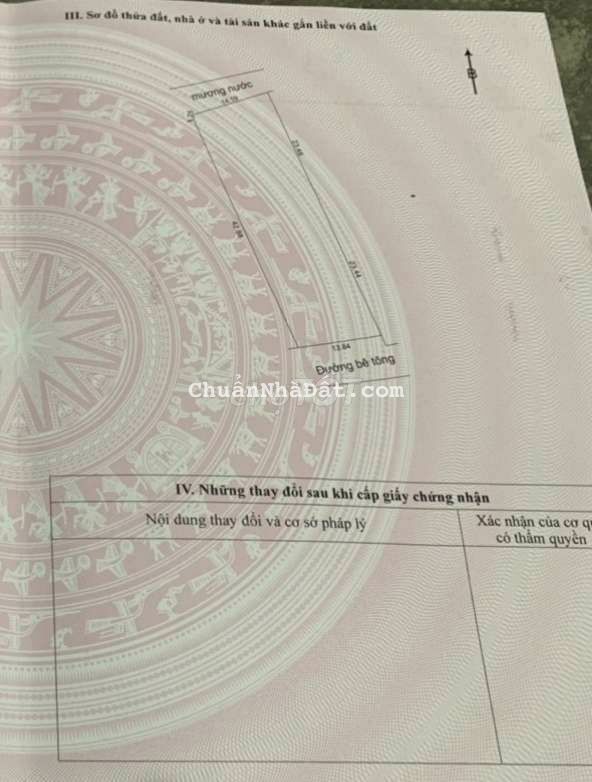 650m2 đất trồng cây hằng năm gần dân ở xã hòa nhơn