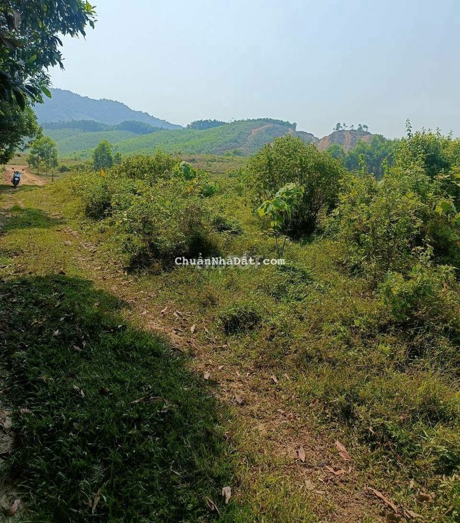 893m2 đất trồng cây hằng năm ngang 20m gần bà nà