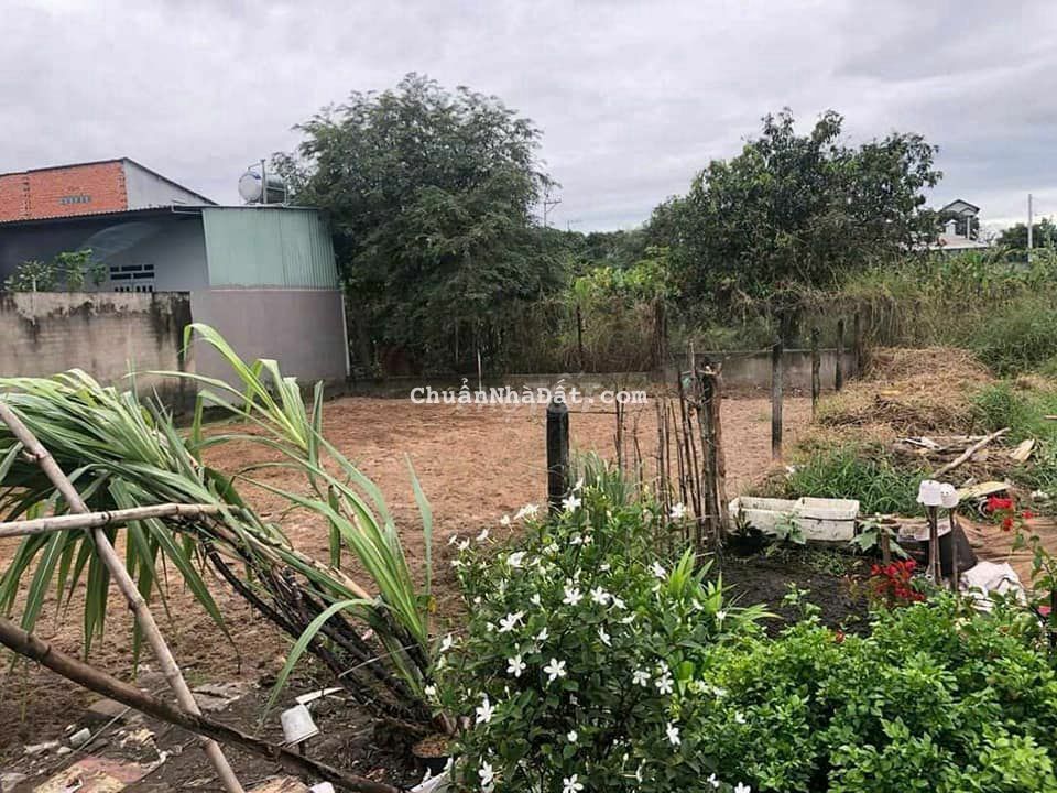 Chủ kẹt tiền bán gấp đất thổ Đường Tân Hiệp 4. Hóc Môn. 100m2, 1tỷ3 TL Chủ kẹt tiền bán gấp đất thổ Đường Tân Hiệp 4. Hóc Môn. 100m2, 1tỷ3 TL