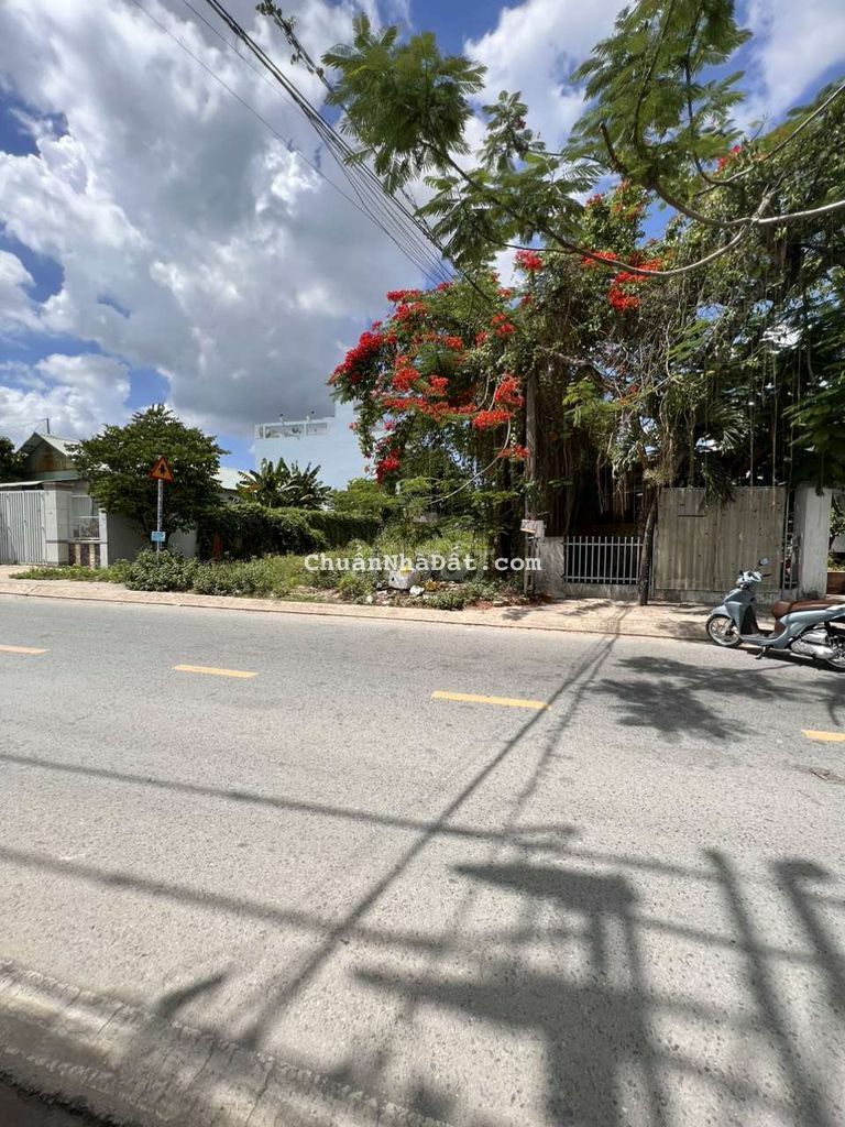 Đất mt Nguyễn thị ngâu