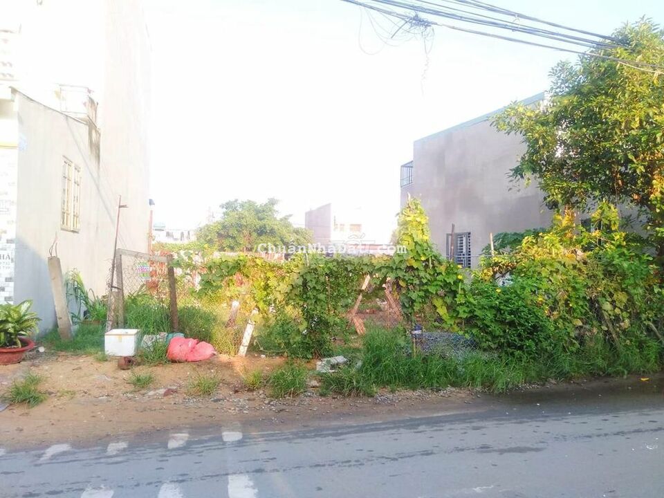 Bán đất thổ 5x23m Giá 950tr MT đường Thanh Niên ngay cầu Bông Hóc Môn