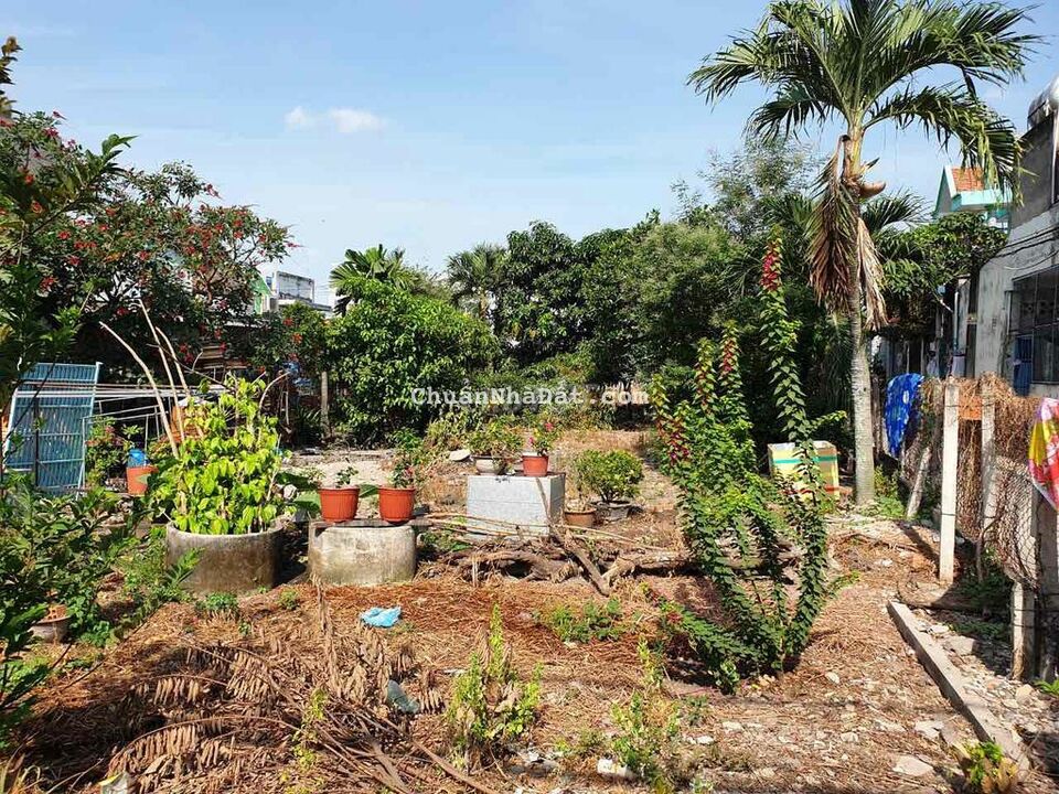 Đất thổ cư 5x33m, hẻm Nguyễn Ảnh Thủ xã Bà Điểm