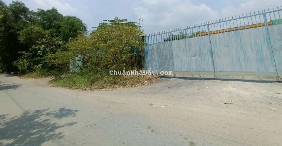 Đất mặt tiền đường Nhị Bình 4, DT 1850m2 (32 x 61)