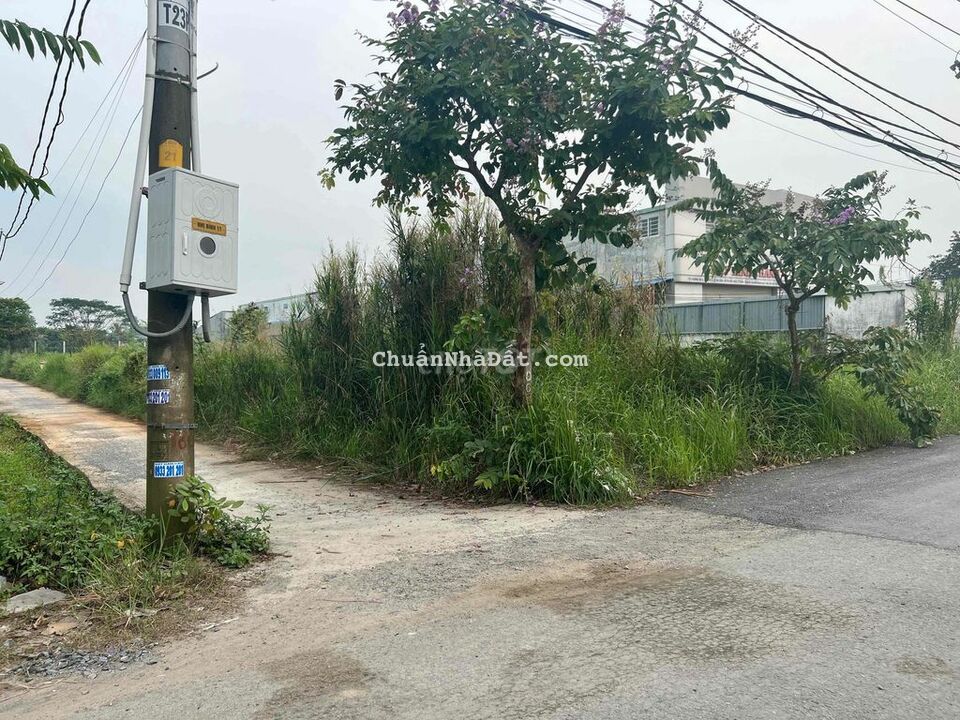 Bán đất hai mặt nhựa 21x95 NB15,Nhị Bình H Hốc Môn