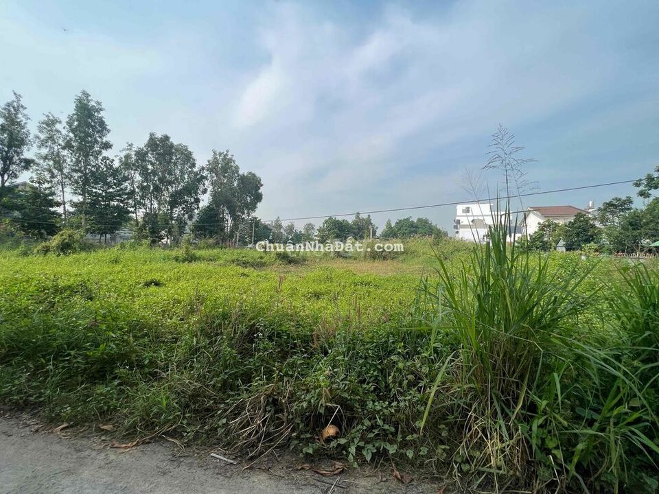 Bán đất hai mặt nhựa 21x95 NB15,Nhị Bình H Hốc Môn