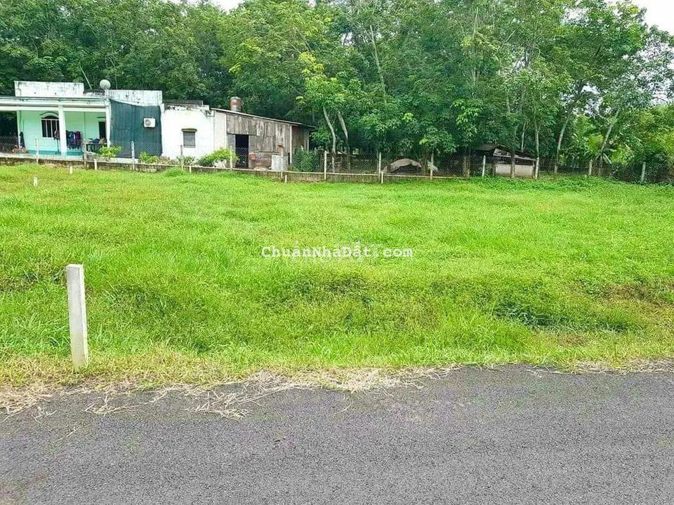 Bán gấp đất SHR 400m2 thổ Giá 635tr MT đường Lê Thị Lơ ngay Co.op Mart