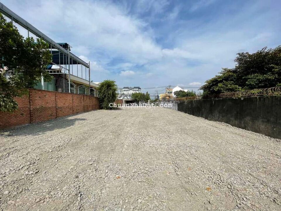 Mặt tiền Nguyễn Thị Ngâu, 14 x 45 thổ cư 100%, kế bên BHX