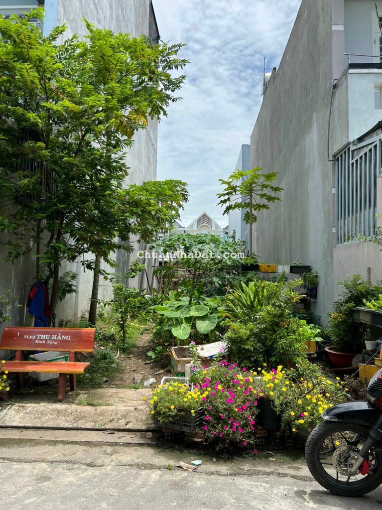 BÁN ĐẤT ĐƯỜNG NHỰA 1/TRỊNH THỊ MIẾNG, XÃ THỚI TAM THÔN,HUYỆN HÓC MÔN