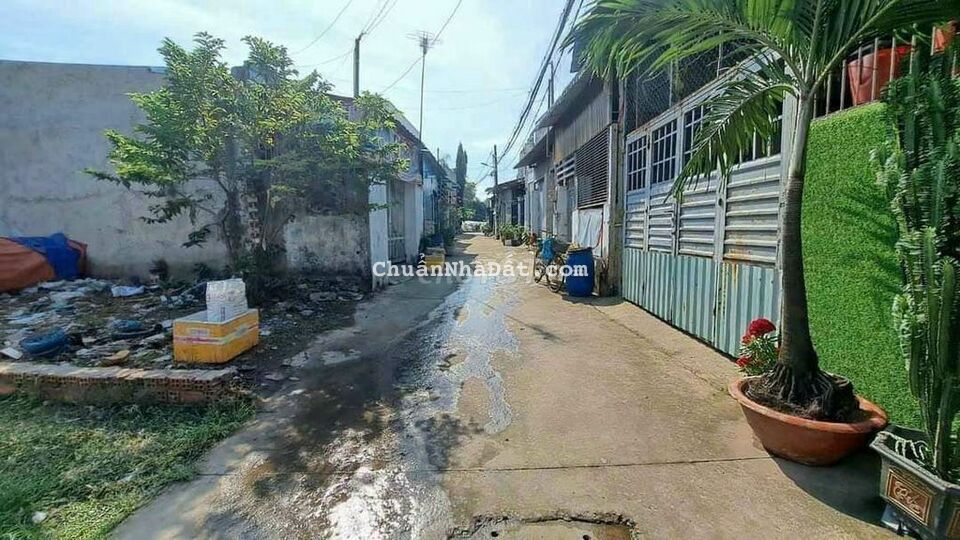Đất Sổ Hồng Riêng 6,2x17 Có 95,2m2 Thổ Cư Đường 4m Thông Đất Sổ Hồng Riêng 6,2x17 Có 95,2m2 Thổ Cư Đường 4m Thông
