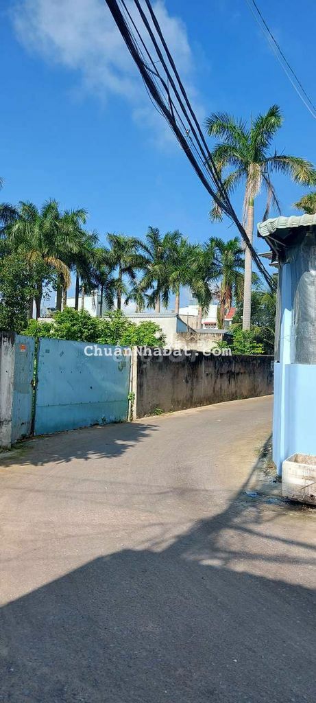 Đât thô cư sô hông riêng