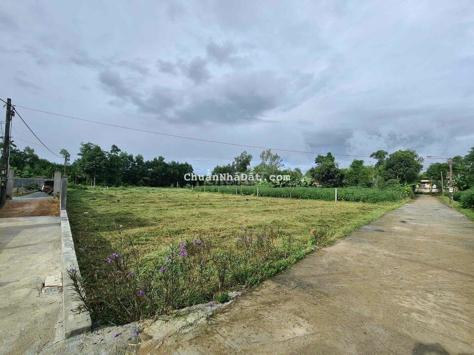 3 lô Tứ Hạ mới ra lò. Cách QL1A 700m. đường ô tô tận nơi