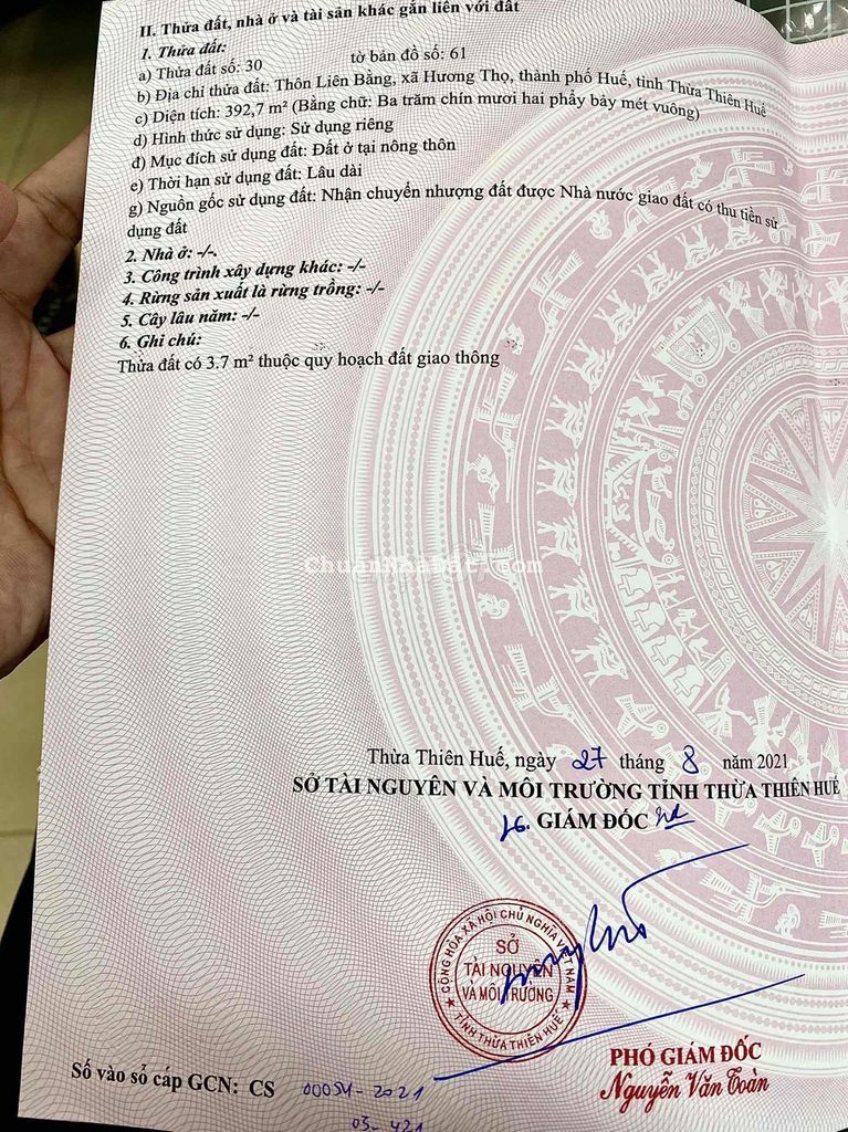 393m2 mặt tiền QL49 Hương Thọ.Đối diện trường học 393m2 mặt tiền QL49 Hương Thọ.Đối diện trường học