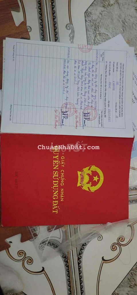 Chuyển Nhượng Lô Góc Bánh Trưng, Mặt Ngõ Trung Lực, Hải Phòng