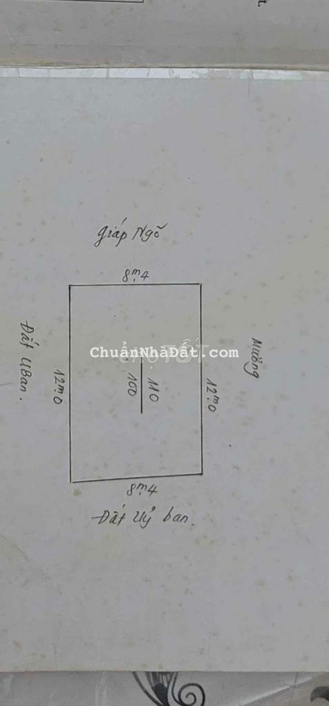 Chuyển Nhượng Lô Góc Bánh Trưng, Mặt Ngõ Trung Lực, Hải Phòng