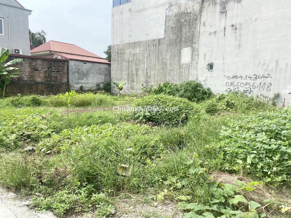 Bán đất ngõ 477 Hùng Vương, Hồng Bàng giá 1,15 tỷ