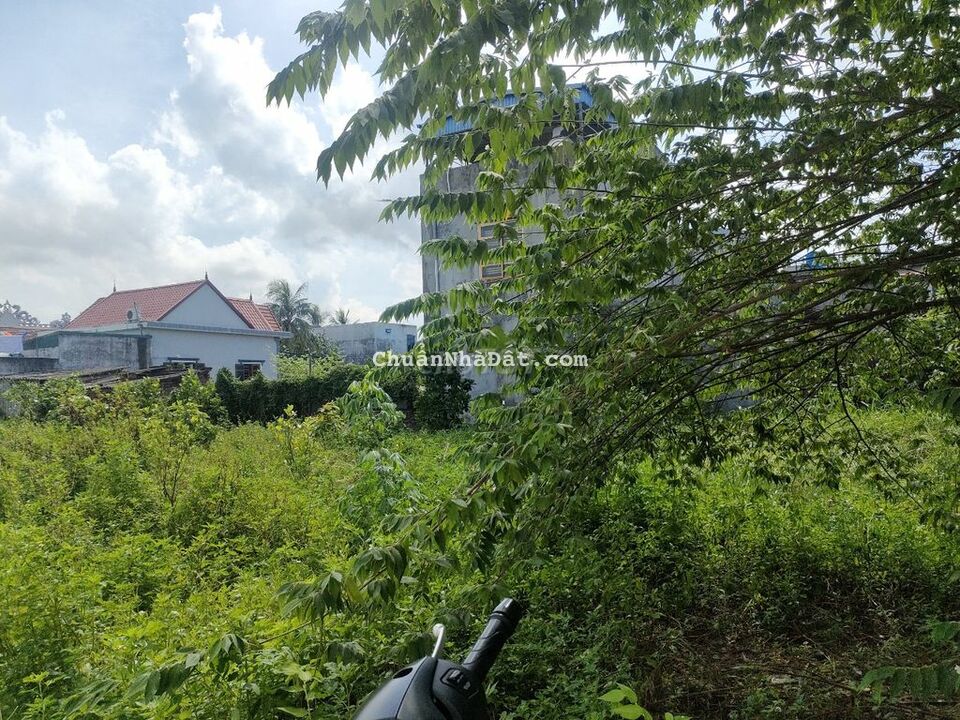 *** lô đất 61m2 tại Quỳnh Cư 1, phường Hùng Vương *** lô đất 61m2 tại Quỳnh Cư 1, phường Hùng Vương