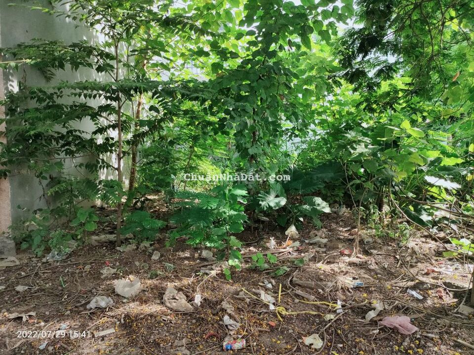 siêu phẩm lô đất TDC Hồ Đá 66,2m2 giá 2,5 tỷ Sở Dầu, Hồng Bàng, siêu phẩm lô đất TDC Hồ Đá 66,2m2 giá 2,5 tỷ Sở Dầu, Hồng Bàng,