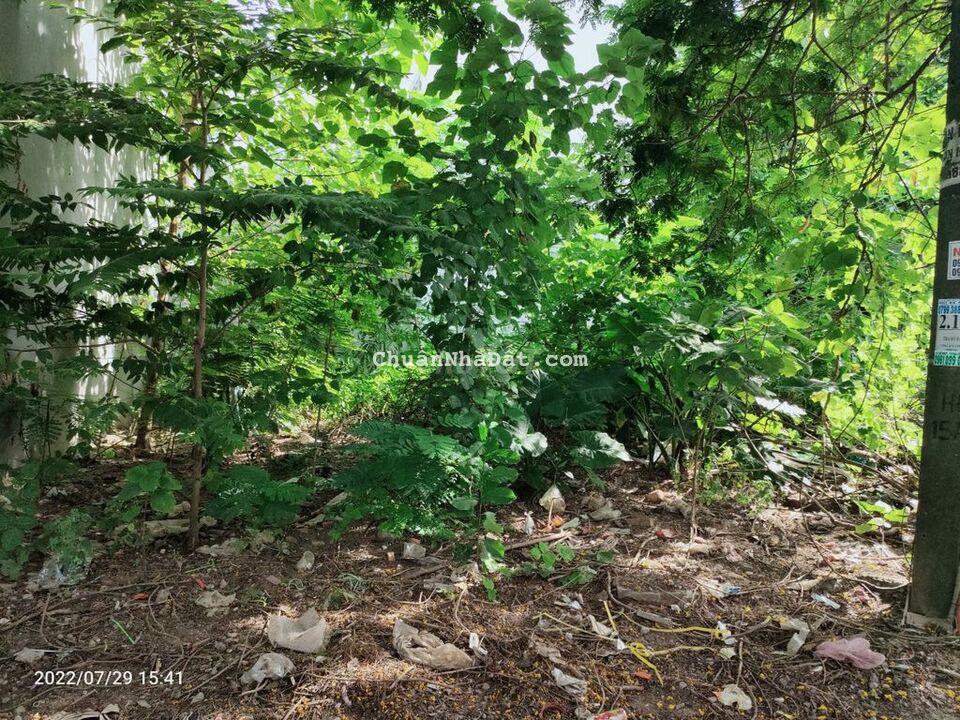 siêu phẩm lô đất TDC Hồ Đá 66,2m2 giá 2,5 tỷ Sở Dầu, Hồng Bàng, siêu phẩm lô đất TDC Hồ Đá 66,2m2 giá 2,5 tỷ Sở Dầu, Hồng Bàng,