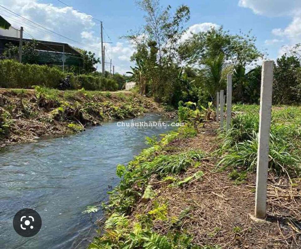 Bán Đất Vườn Bưởi