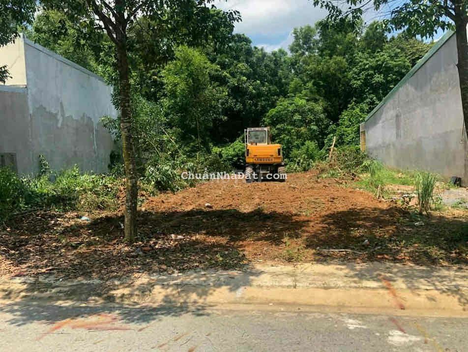 1000m2 đất vườn có trồng sẳn bưởi Chỉ 300tr