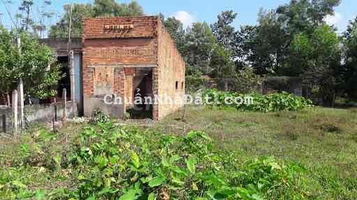 1000m2 đất vườn có trồng sẳn bưởi Chỉ 300tr