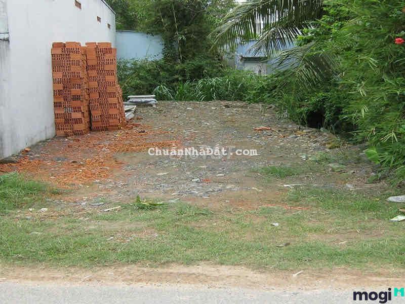 1000m2 đất vườn có trồng sẳn bưởi Chỉ 300tr