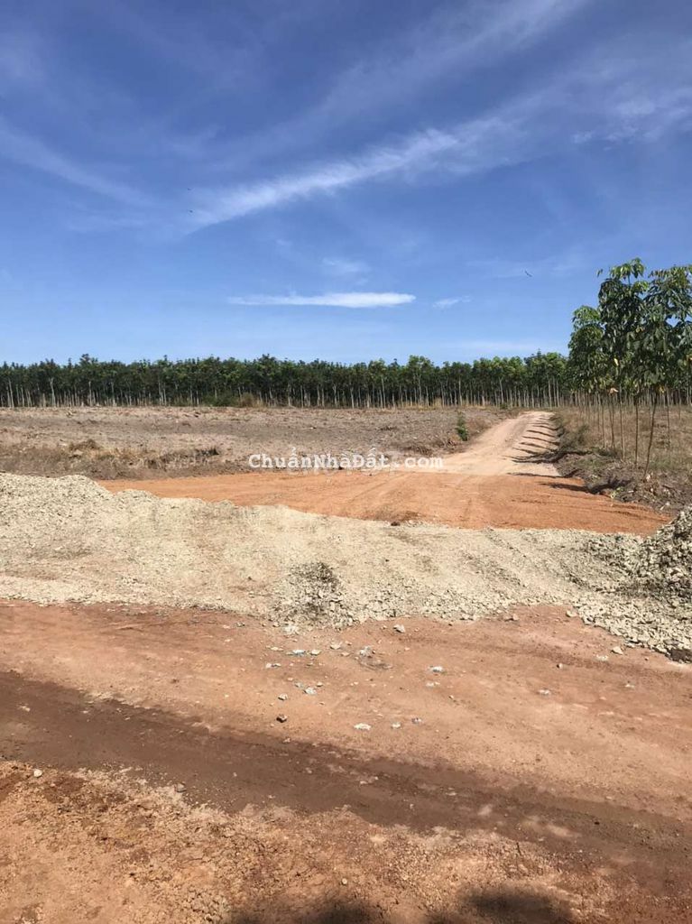 ĐÚNG GIÁ ĐÚNG VỊ TRÍ ĐÚNG GIÁ ĐÚNG VỊ TRÍ