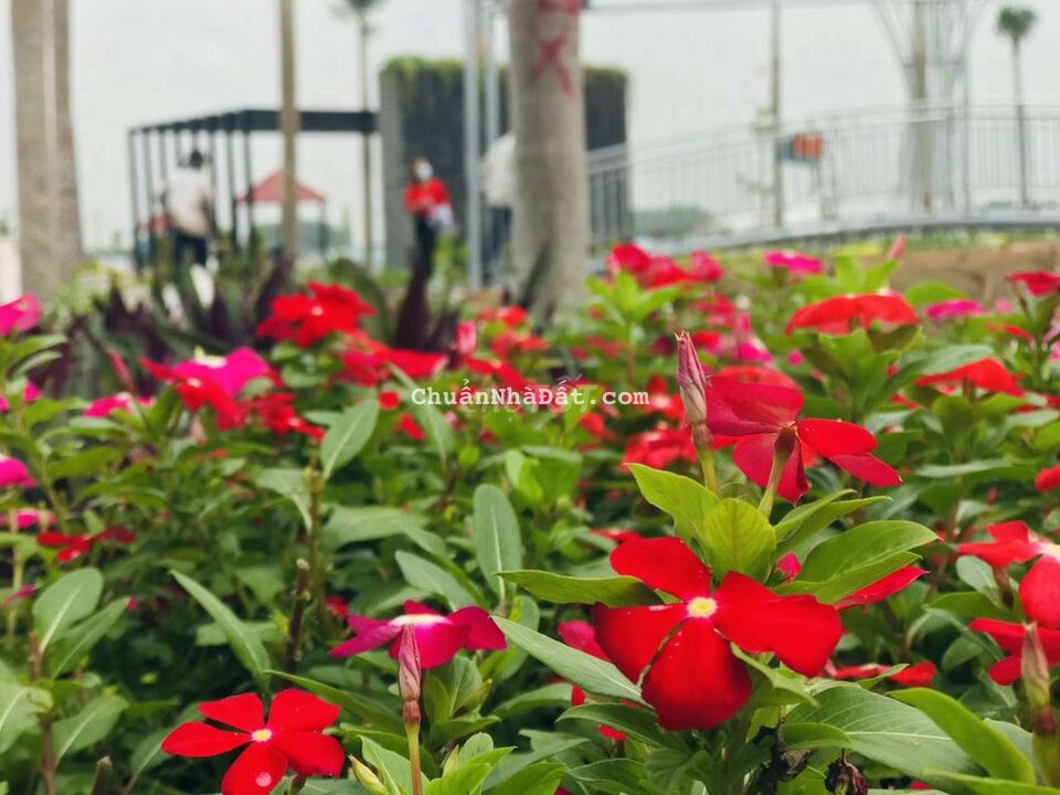 BÁN ĐẤT KẾ KHU TRUNG TÂM NGHĨ DƯỠNG