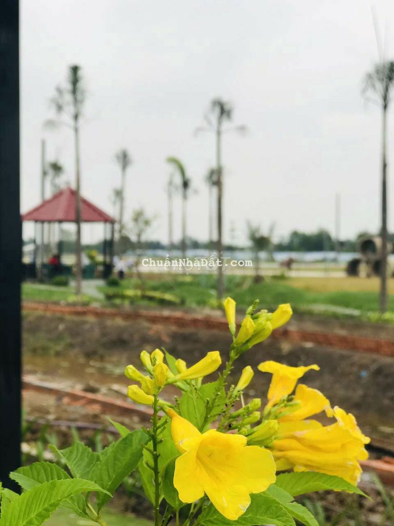 BÁN ĐẤT KẾ KHU TRUNG TÂM NGHĨ DƯỠNG