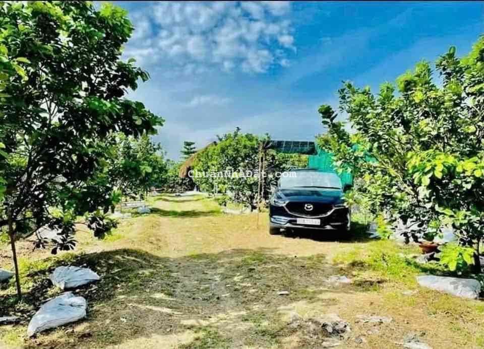 Bán Đất Ở Bình Phước