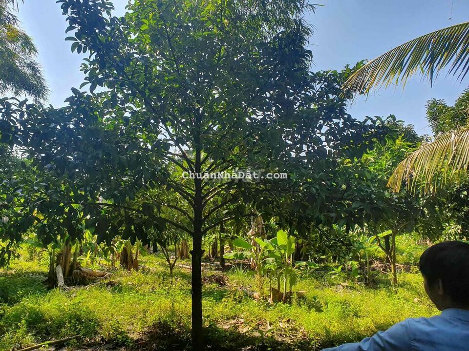 Lô đất diện tích lớn thích hợp làm kho bãi có sẳm thổ cư