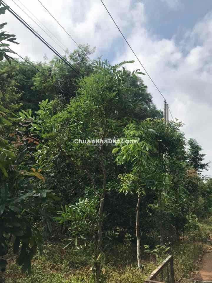 Lô đất diện tích lớn thích hợp làm kho bãi có sẳm thổ cư