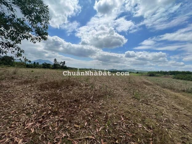 Bán đất giáp Sông Trò rộng 17.000m2 bằng phẳng đường oto giá rẻ LH 0788.558.552