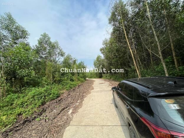 Bán 2 ha sẵn vườn keo giáp đường betong hơn 300m ngang xã Khánh Nam giá rẻ LH 0788.558.552