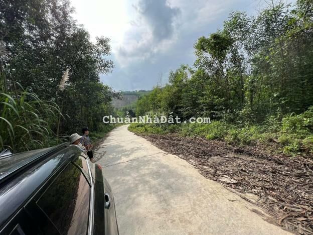 Bán 2 ha sẵn vườn keo giáp đường betong hơn 300m ngang xã Khánh Nam giá rẻ LH 0788.558.552