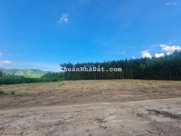 Bán đất 4 hecta bằng phẳng mặt tiền betong hơn 200m ngang xã Khánh Hiệp, Khánh Vĩnh